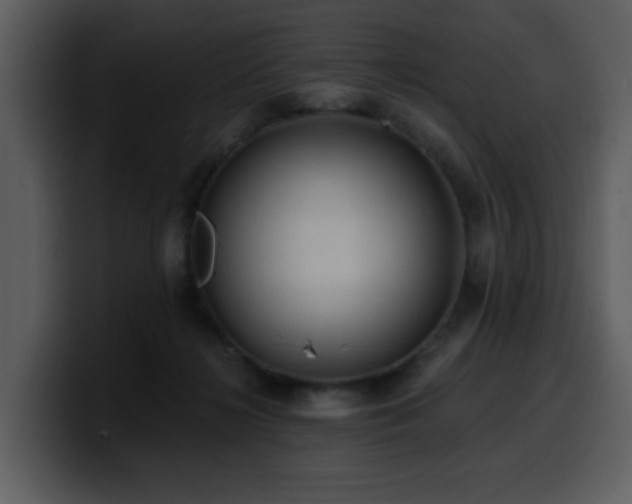 X0000100780268200806191309