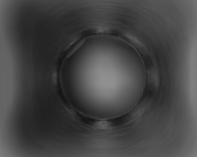 X0000100780269200806191309