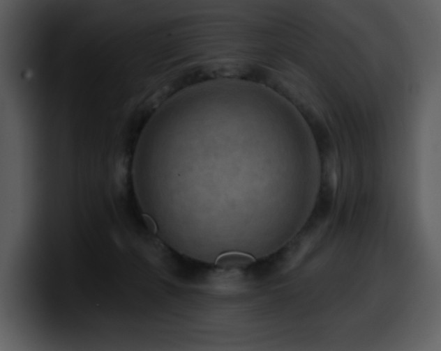 X0000100780271200806191309