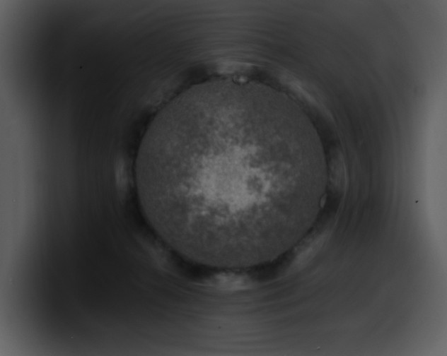 X0000100780272200806191309