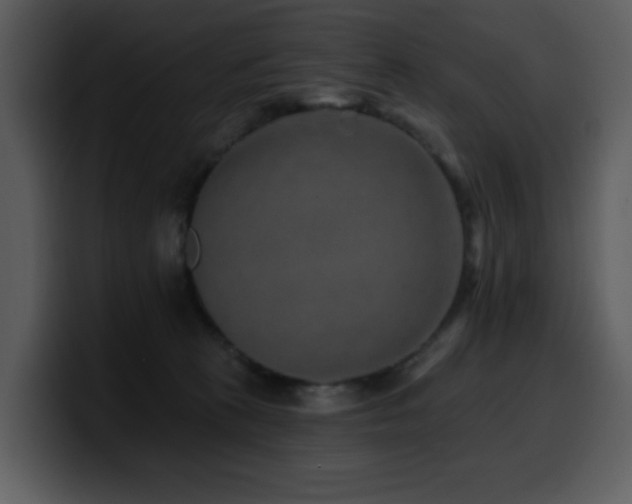 X0000100780273200806191309