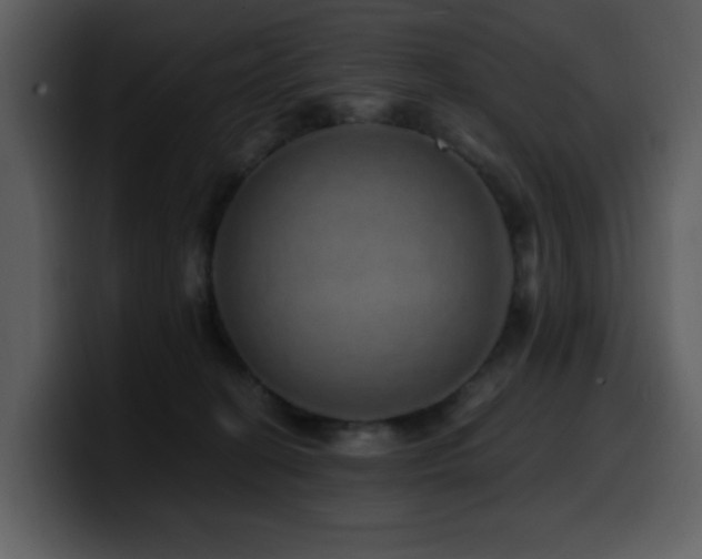 X0000100780274200806191309