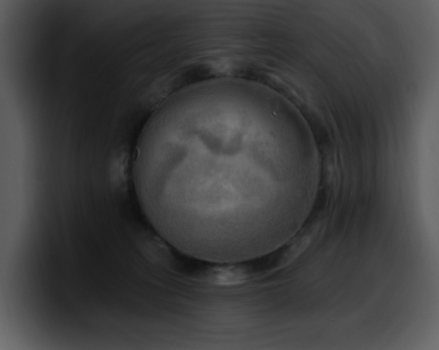 X0000100780275200806191309