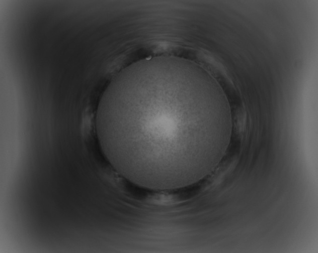 X0000100780276200806191309