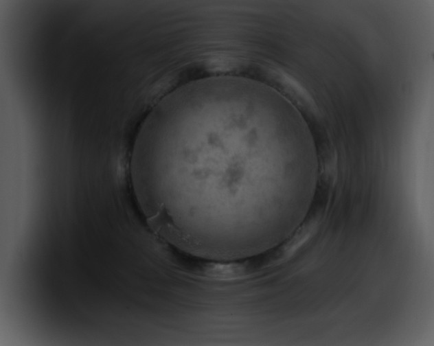 X0000100780277200806191309