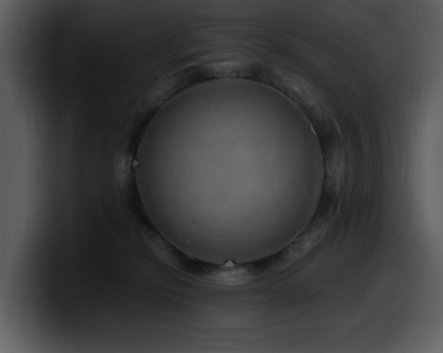 X0000100780278200806191309