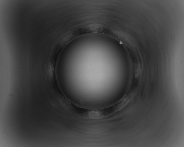 X0000100780279200806191309