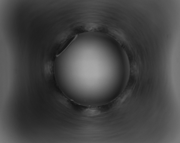 X0000100780280200806191309