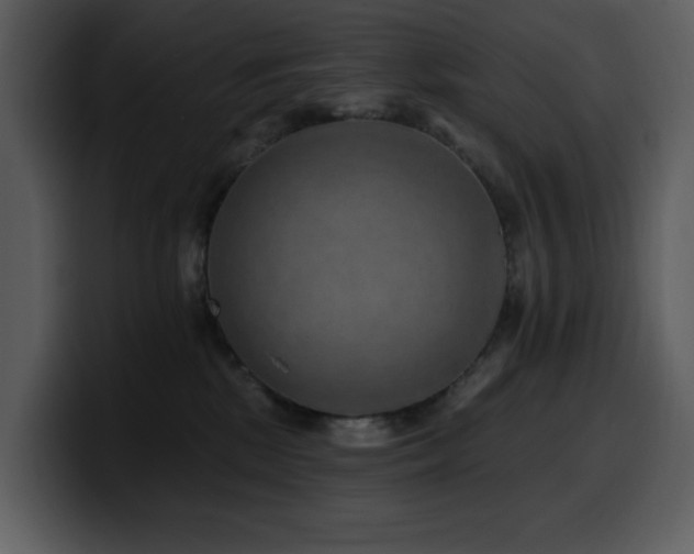 X0000100780281200806191309