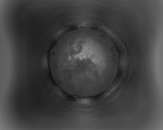 X0000100780282200806191309