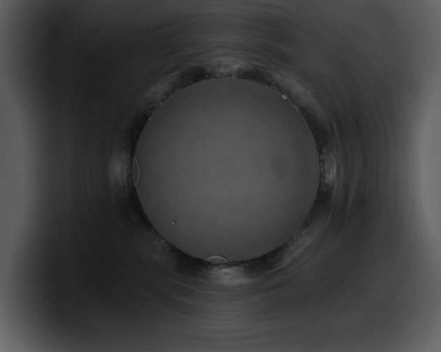 X0000100780283200806191309