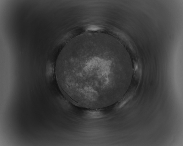 X0000100780284200806191309