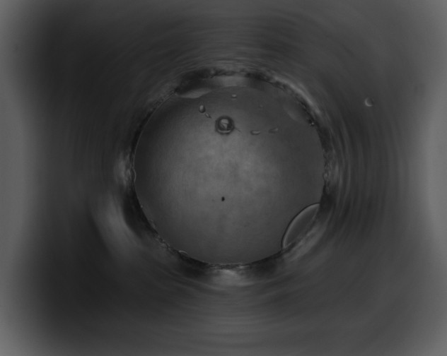 X0000100780285200806191309