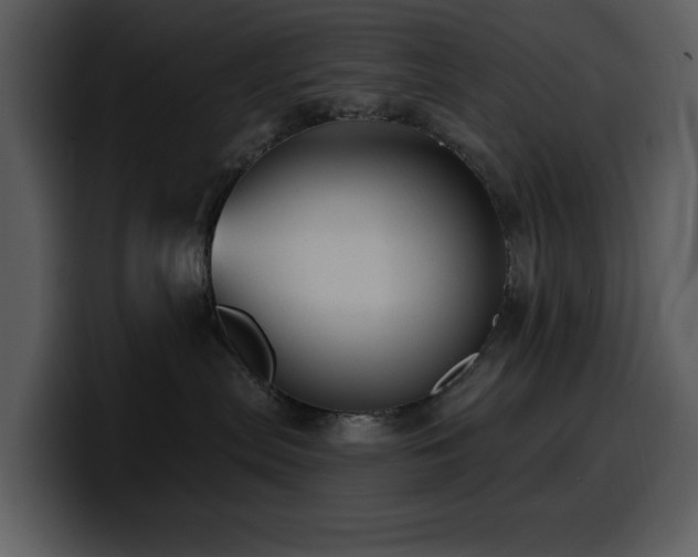 X0000100780287200806191309