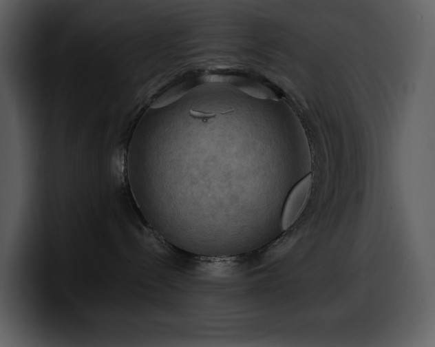 X0000100780288200806191309