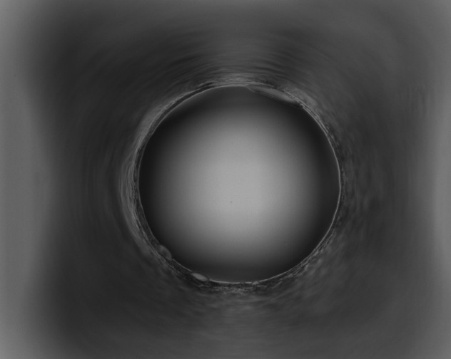 X0000100780289200806191308