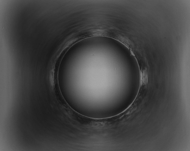 X0000100780291200806191308