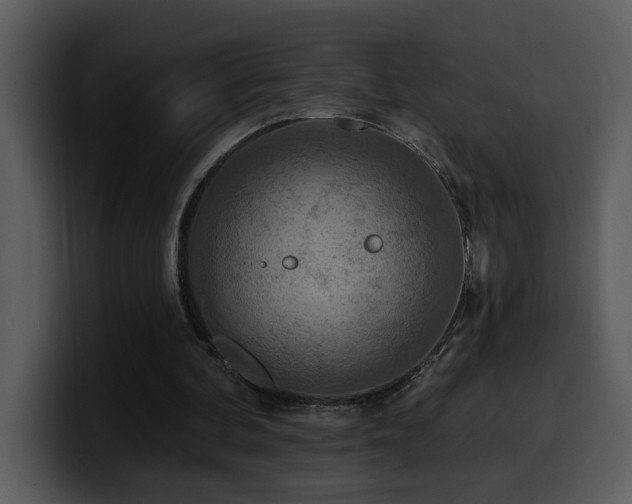 X0000100780292200806191308