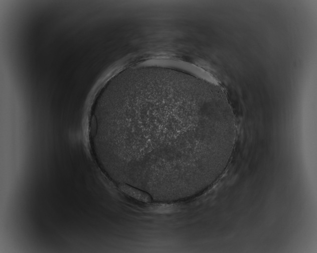 X0000100780293200806191308