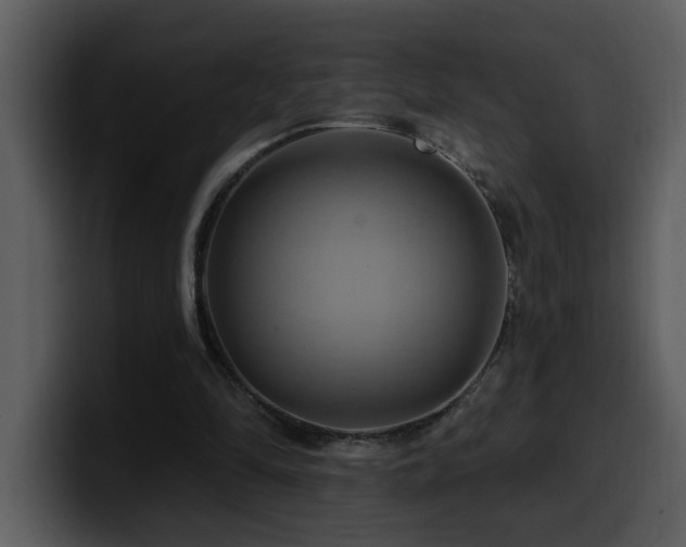 X0000100780294200806191308