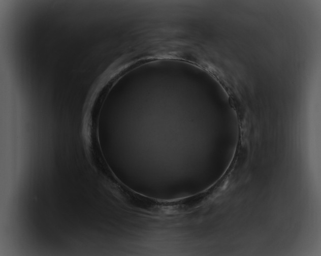 X0000100780295200806191308