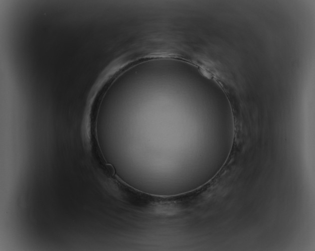 X0000100780296200806191308