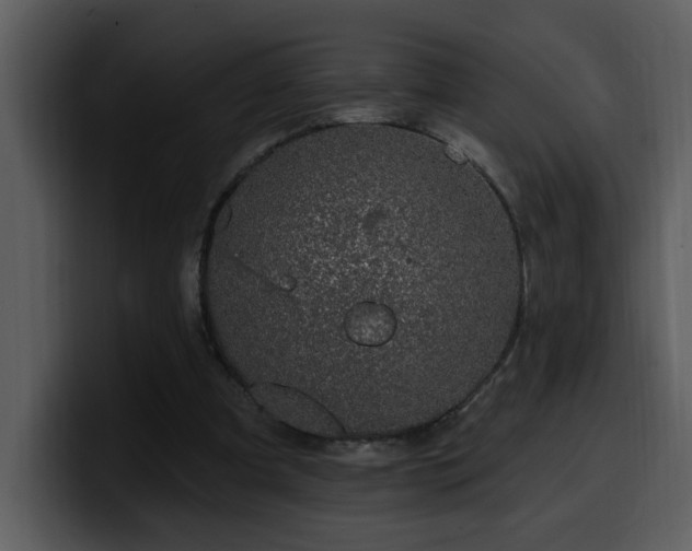 X0000100780297200806191308