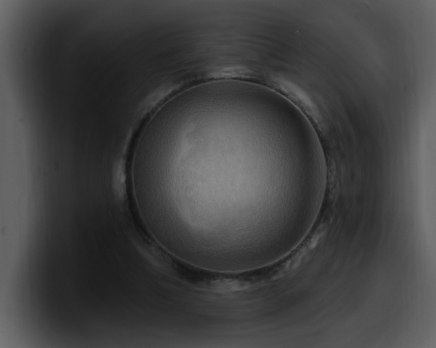 X0000100780298200806191308