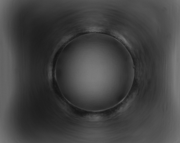 X0000100780299200806191308