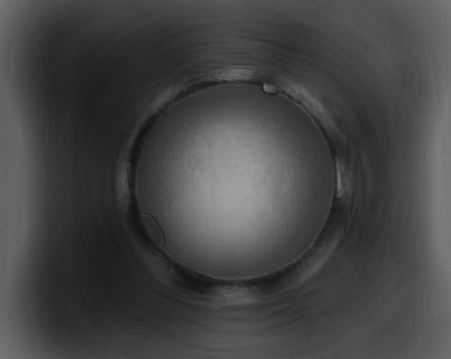 X0000100780300200806191308