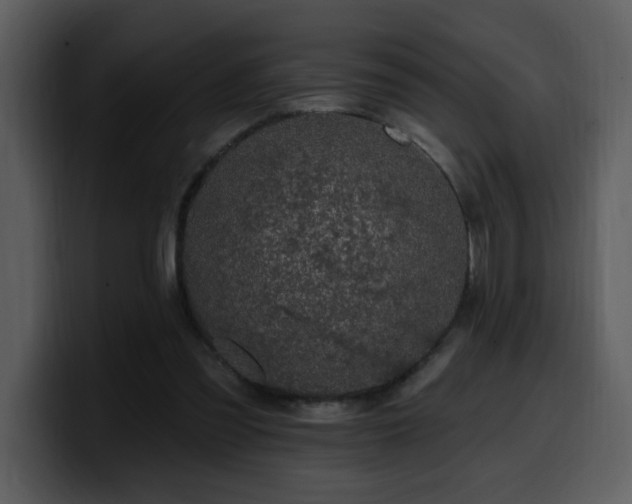 X0000100780301200806191308