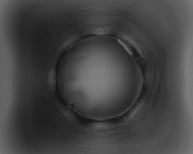 X0000100780303200806191308