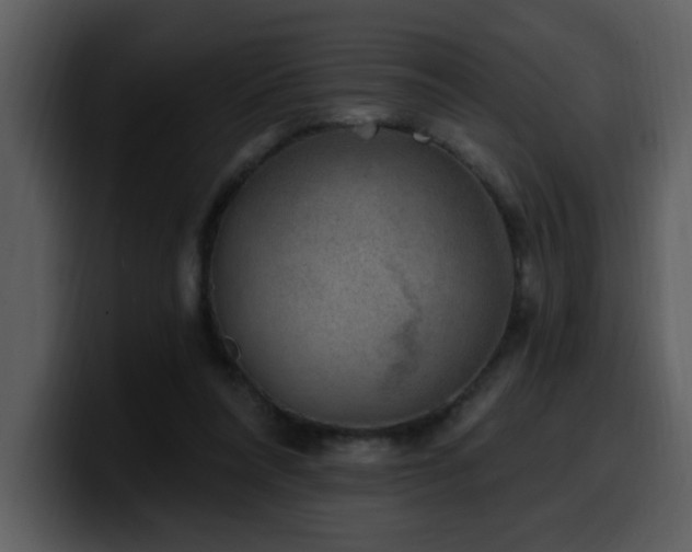 X0000100780304200806191308