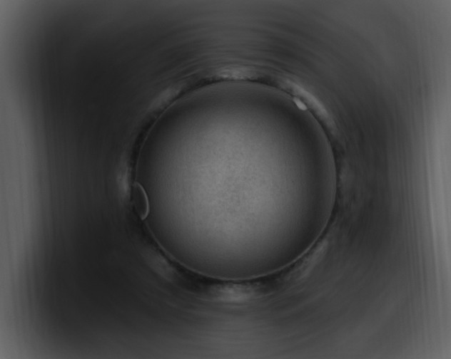 X0000100780305200806191308