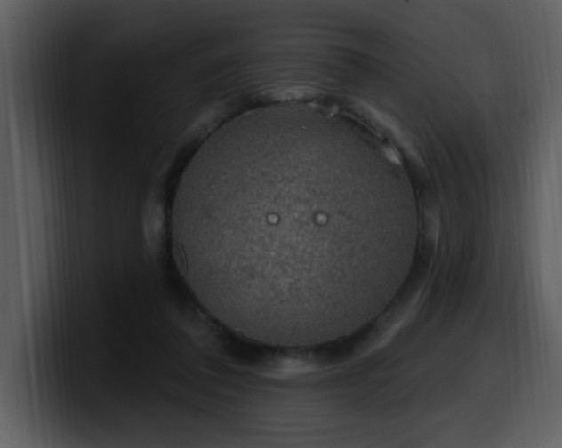 X0000100780308200806191308