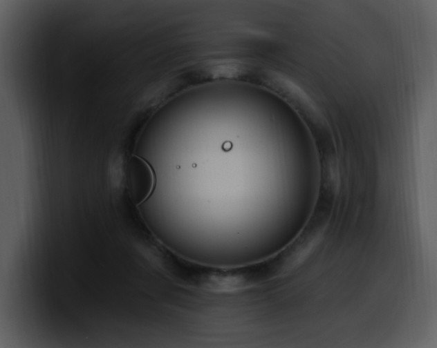 X0000100780311200806191308