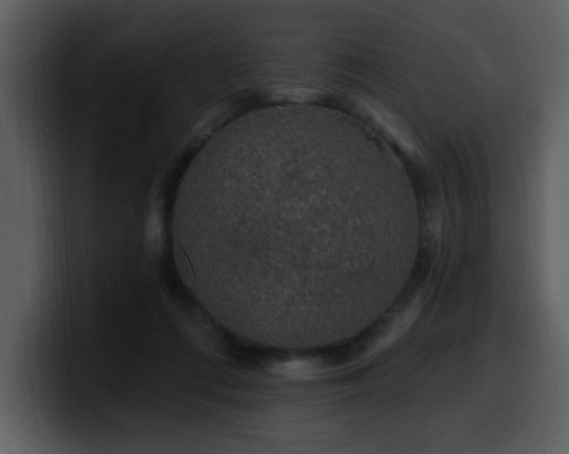 X0000100780312200806191308