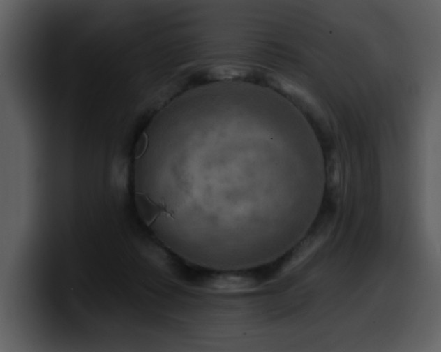 X0000100780315200806191308