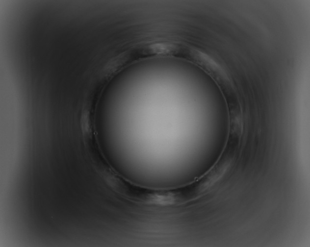 X0000100780317200806191308