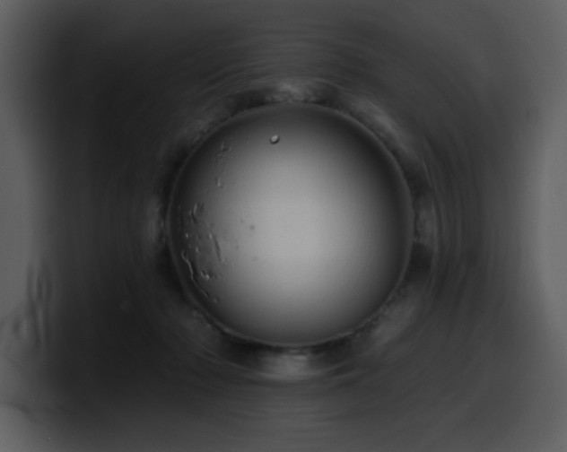 X0000100780318200806191308