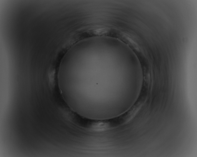 X0000100780319200806191308