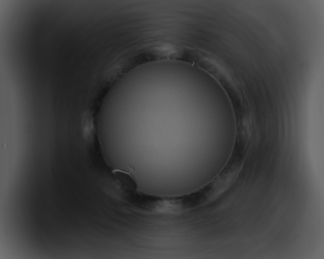 X0000100780320200806191308