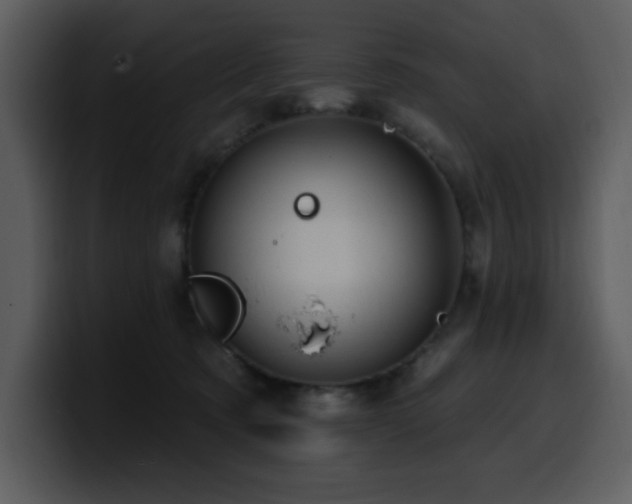 X0000100780321200806191308