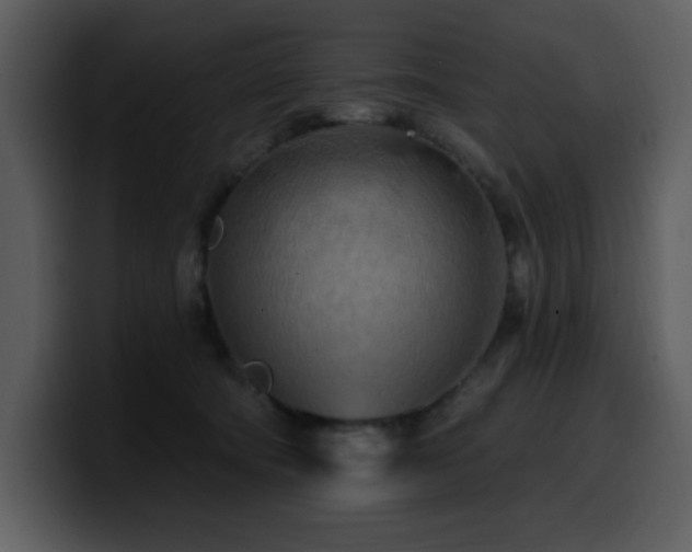 X0000100780322200806191308