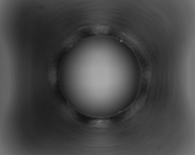 X0000100780323200806191308