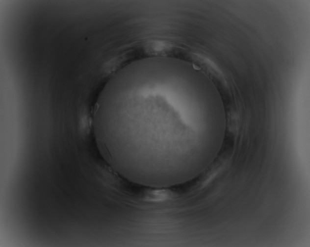 X0000100780324200806191308