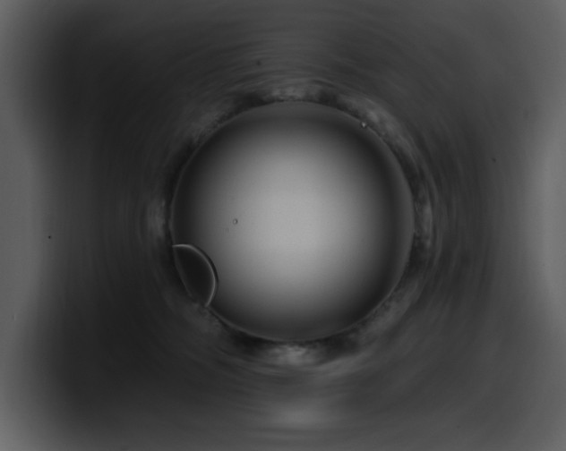 X0000100780326200806191308