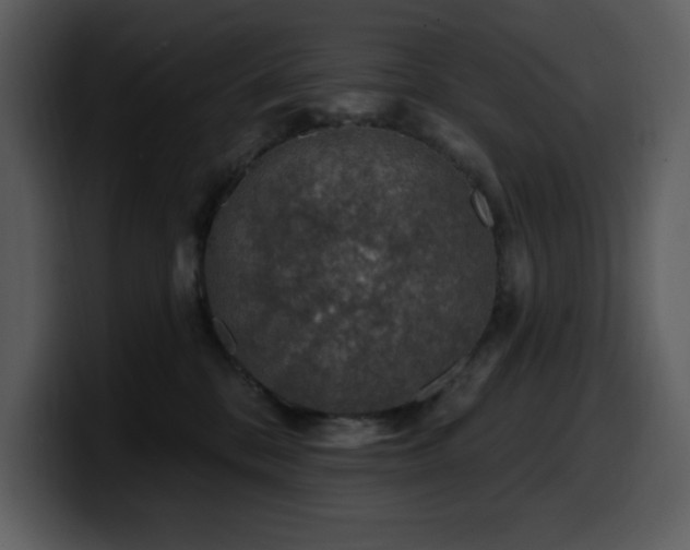 X0000100780328200806191308