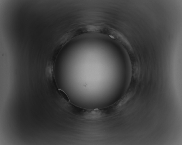 X0000100780329200806191308