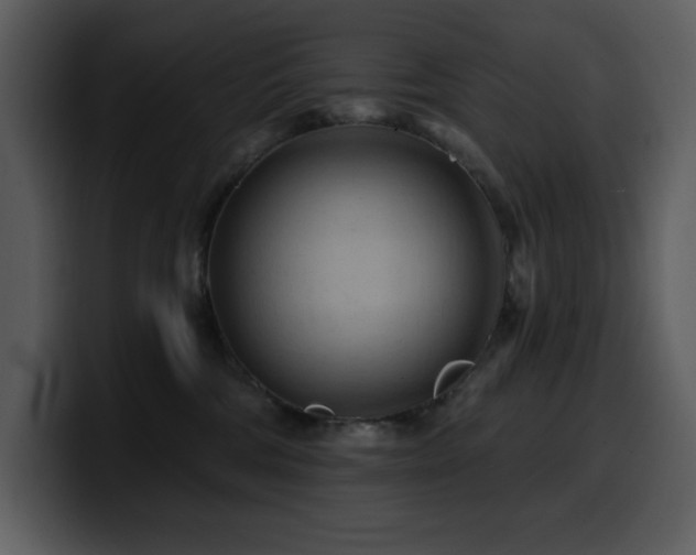 X0000100780330200806191308